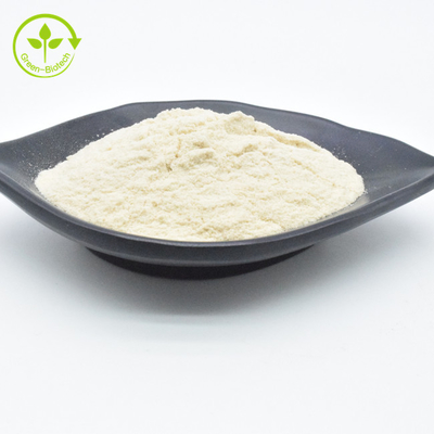 Extractos vegetales naturales Suministro de ajo blanco en polvo Extracto de ajo en polvo Alicina 1%