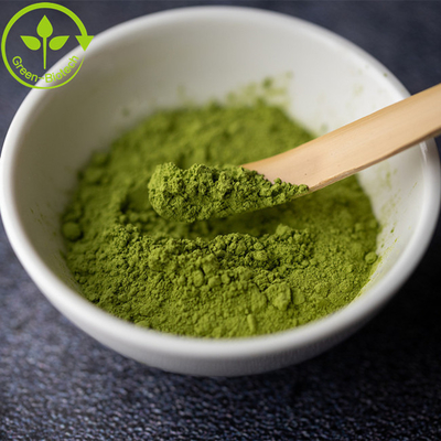 Comida natural pura Matcha en polvo Té verde con el mejor precio