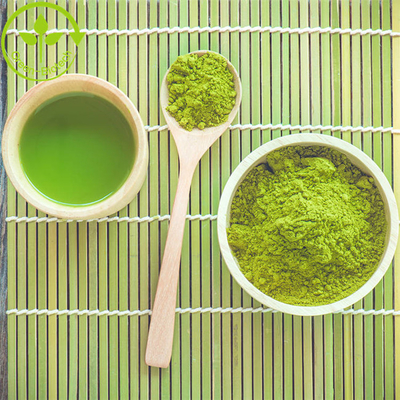 Fabrica mayorista de polvo puro mejor precio Matcha té verde Matcha polvo