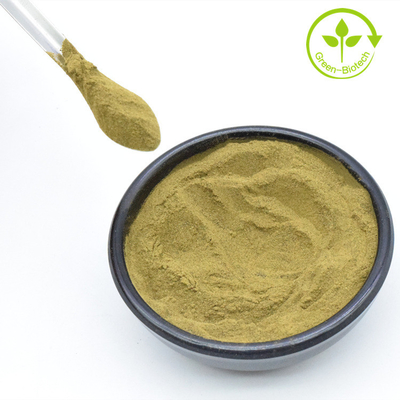 El fabricante suministra el extracto de Witanolides de raíces de Ashwagandha 5% para el aceite de cabello de Ashwagandha