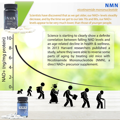 Aumento puro de la energía de la cápsula del suplemento de la longevidad 600mg Nmn