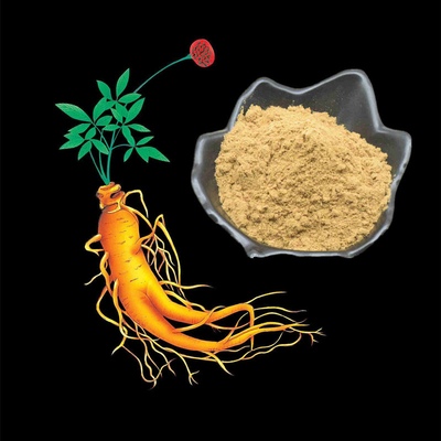 80 Mesh Ginseng Root Extract Powder 1%-80% extractos naturales de la planta