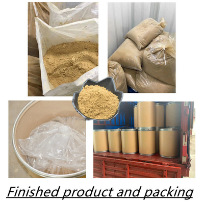 80 Mesh Ginseng Root Extract Powder 1%-80% extractos naturales de la planta