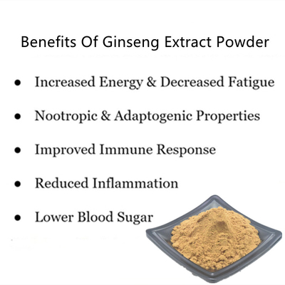 80 Mesh Ginseng Root Extract Powder 1%-80% extractos naturales de la planta