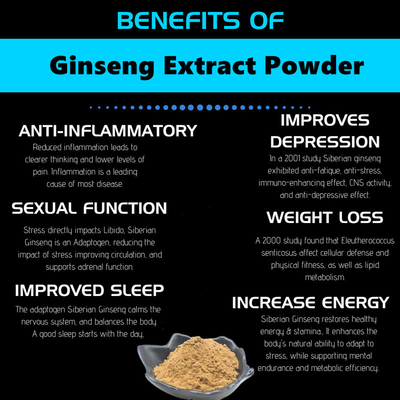 80 Mesh Ginseng Root Extract Powder 1%-80% extractos naturales de la planta