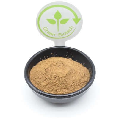 El extracto de la planta del polvo del extracto de Turkestanica del Ajuga del culturismo pulveriza 500mg 750mg 1000mg