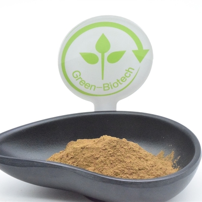 Pérdida gorda de Turkestanica el 2% Turkesterone del Ajuga del polvo del extracto de la planta de HACCP
