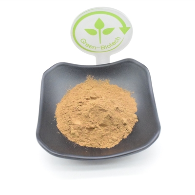 Polvo del extracto de la planta del 10% Turkesterone