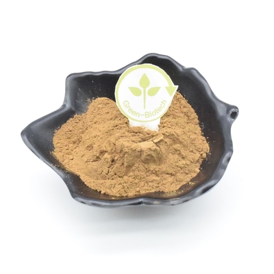 Levantamiento de pesas del extracto de Turkest del Ajuga del 2%