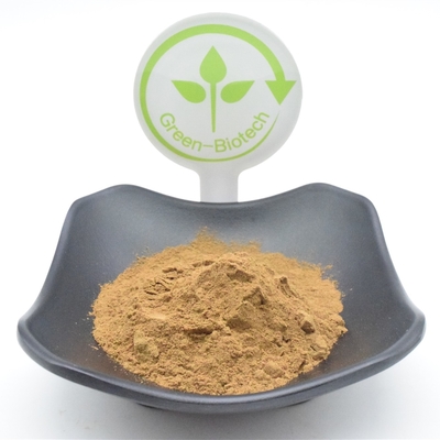 El Ajuga funcional Turkestanica pulveriza el polvo del extracto de la planta de 750mg 1000mg