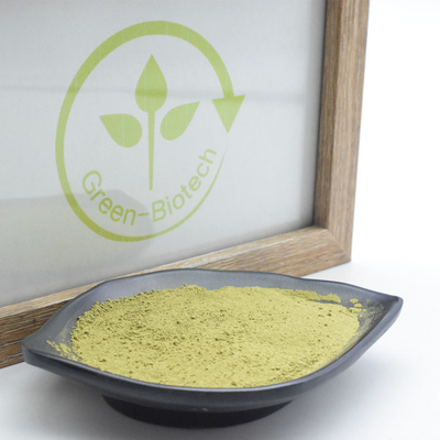 La planta natural de MSDS extrae el polvo del té de Uji Matcha con Rich Umami Taste